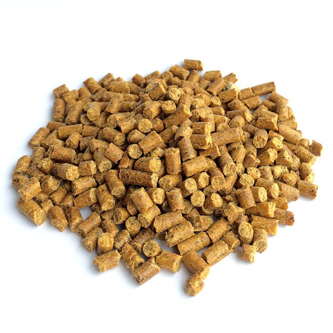 3.Gluten feed_pellet